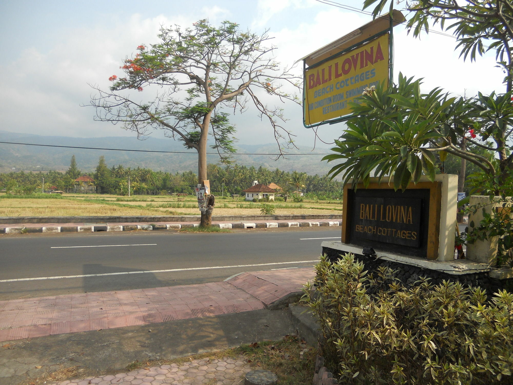 Bali Lovina Beach Cottages Pabean Buleleng Kültér fotó