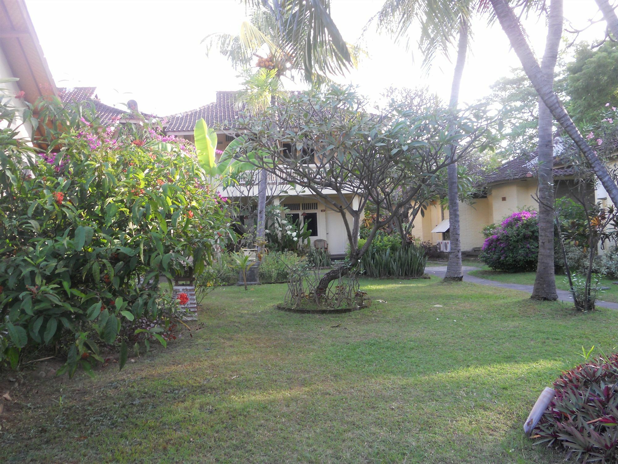 Bali Lovina Beach Cottages Pabean Buleleng Kültér fotó