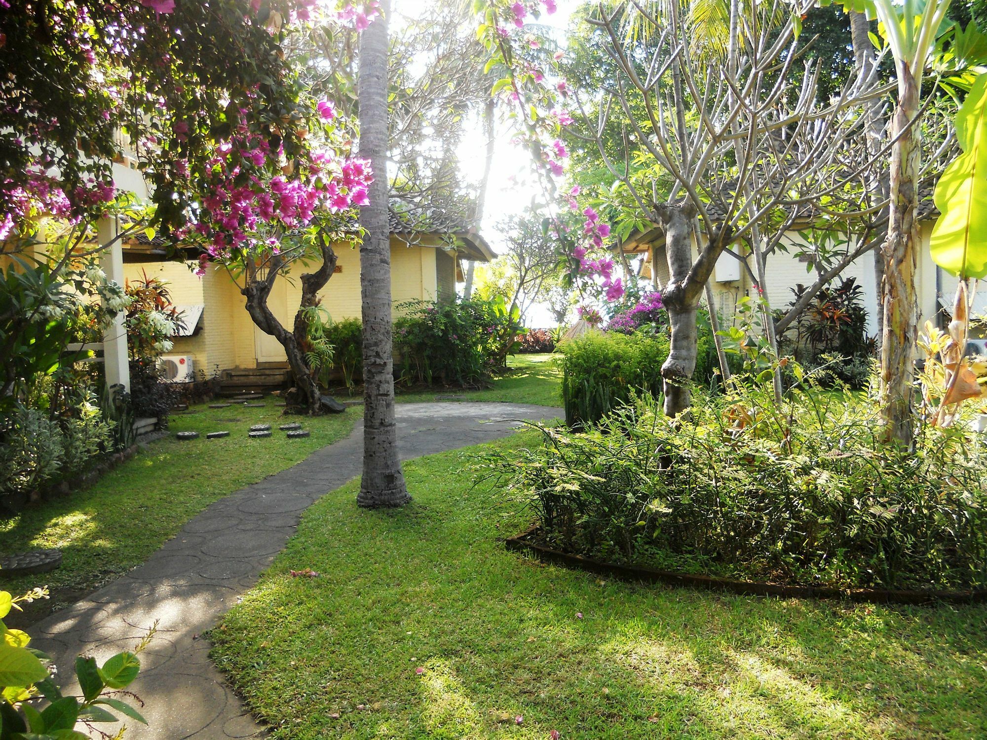 Bali Lovina Beach Cottages Pabean Buleleng Kültér fotó